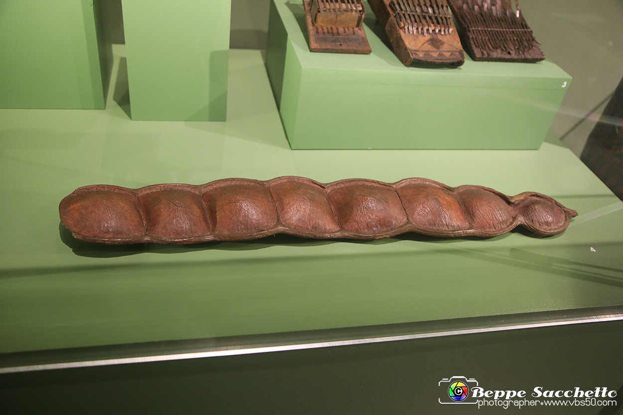 VBS_5471 - Africa - Le collezioni dimenticate.jpg